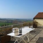 Winetour and tasting on Bologna hills, guided by the wine grower - Wine Tasting: Sampling the Estate’s Best