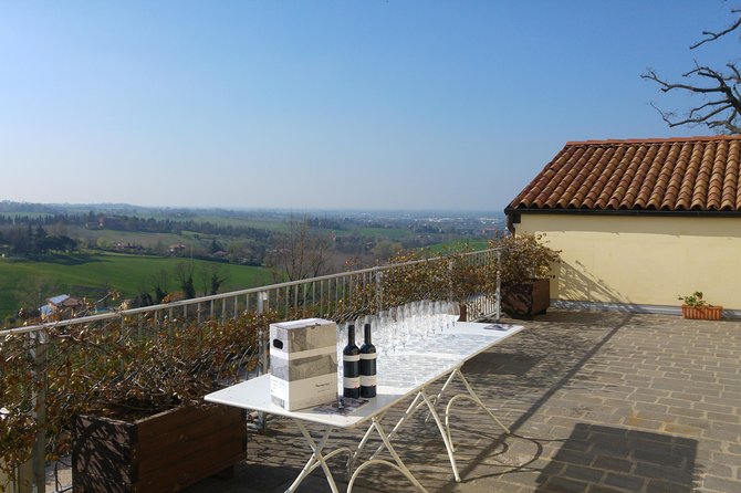 Winetour and tasting on Bologna hills, guided by the wine grower - Wine Tasting: Sampling the Estate’s Best