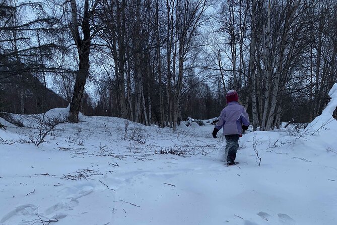 Winter Family Fun Day in Palmer Alaska - Family-Friendly Sledding and Snow Play