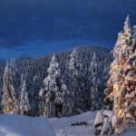 Winter Fun at North Shore Mountains- Grouse, Seymour & Cypress - Starting Point at Canada Place for a Scenic Drive