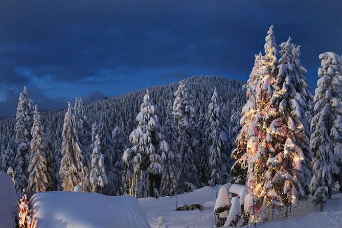 Winter Fun at North Shore Mountains- Grouse, Seymour & Cypress - Starting Point at Canada Place for a Scenic Drive