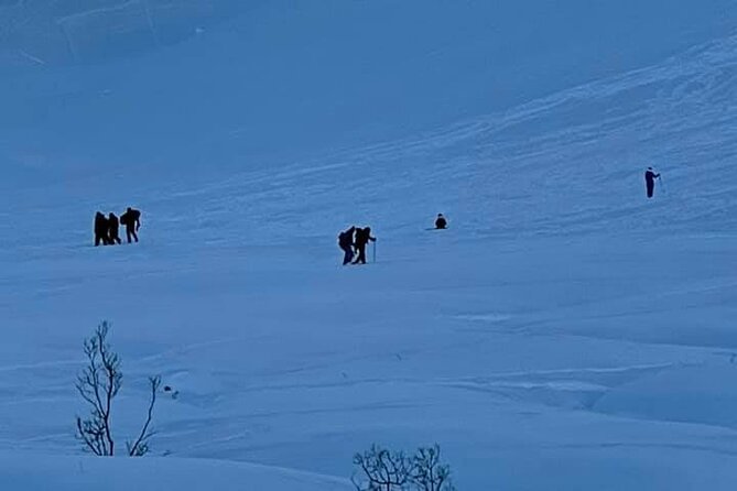 Winter Hiking Set for Snowshoes and Trek Poles - Snowshoes and Trekking Poles: What’s Included and How It Works