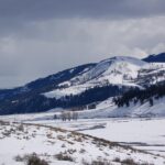 Winter in Yellowstone Wildlife Tour - Starting Early in West Yellowstone for a Full-Day Adventure