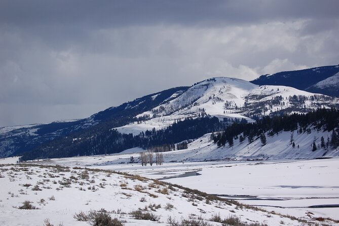 Winter in Yellowstone Wildlife Tour - Starting Early in West Yellowstone for a Full-Day Adventure