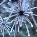 Winter Valley and Forest Hike - What the Itinerary Includes: From Eagle River Trails to Barbara Falls