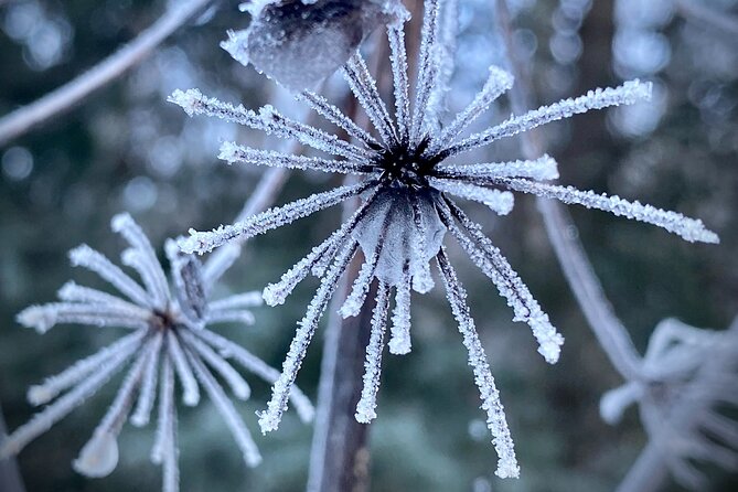 Winter Valley and Forest Hike - What the Itinerary Includes: From Eagle River Trails to Barbara Falls