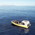 Winter Whale Watching Adventure in Kauai - Key Points