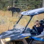 Woodland Park: 2 Hour Guided Rocky Mountain UTV Tour - Starting Point and Meeting Instructions in Woodland Park