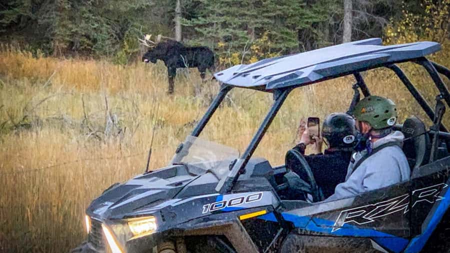 Woodland Park: 2 Hour Guided Rocky Mountain UTV Tour - Starting Point and Meeting Instructions in Woodland Park