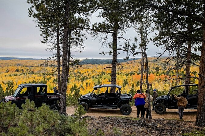 Woodland Park: 2 Hour Guided Wildlife Sunset UTV Tour - You Drive - Stops at Cedar Mountain and Pikes Peak for Panoramic Views