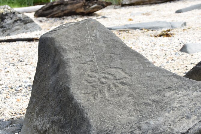 Wrangell E-Bike and Hike Adventure - Scenic E-Bike Ride Along Wrangell Forest Roads