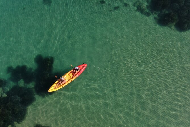 WWF Kayak Tour from Cala Manbrù to Torre Salsa Reserve - What the Tour Includes and What to Consider