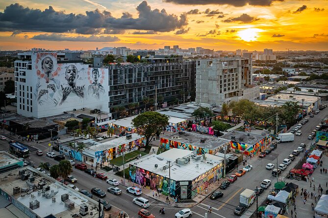Wynwood Walls Admission Ticket - Exploring the Murals and Sculptures from Top Street Artists