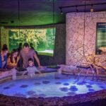 Xcaret Park Entry Tickets with Cultural Night Show Included - What You Get With Your General Admission Ticket