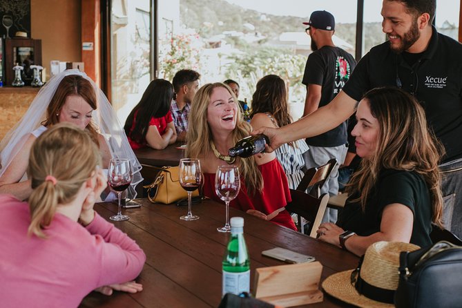 Xecue Wine Tasting in the Guadalupe Valley - Exploring Xecues Vineyard and Facilities