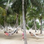 Xel Ha Park Snorkeling & Buffete & Open bar only from Cancun - Unrestricted Access to All Activities and Attractions at Xel Ha