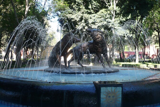 Xochimilco, Coyoacan and Frida Kahlo Museum Tour - The Frida Kahlo Museum: Access and Expectations