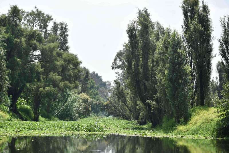 Xochimilco Serene: A Calm Cultural Escape from the Crowds - Starting Point at Embarcadero Cuemanco for a Peaceful Launch