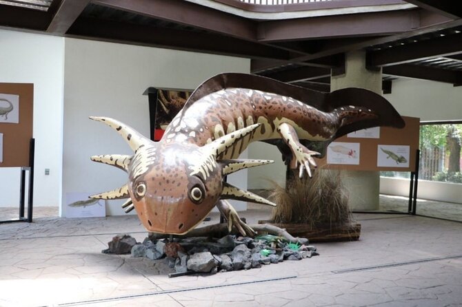 Xochimilco The island dolls and Axolotl museum from Mexico City - Visiting the Island of the Dead Dolls: Legends and Mystery