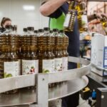 XXI Century Olive Oil Mill Tour - The Focus of the XXI Century Olive Oil Mill Tour