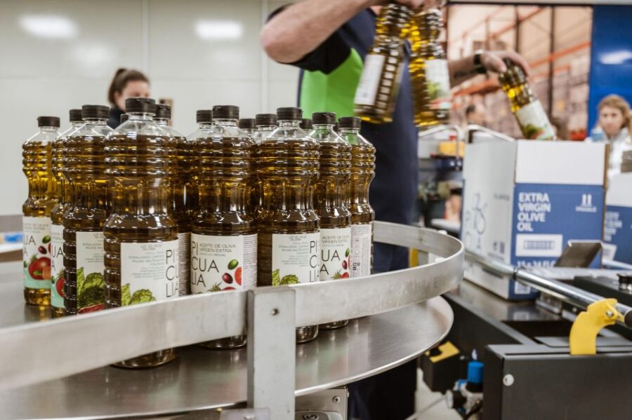 XXI Century Olive Oil Mill Tour - The Focus of the XXI Century Olive Oil Mill Tour