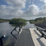 Yalku :Akumal snorkeling Muuch Kay Ecopark - Specifics of the Snorkeling Experience at Yalku Lagoon