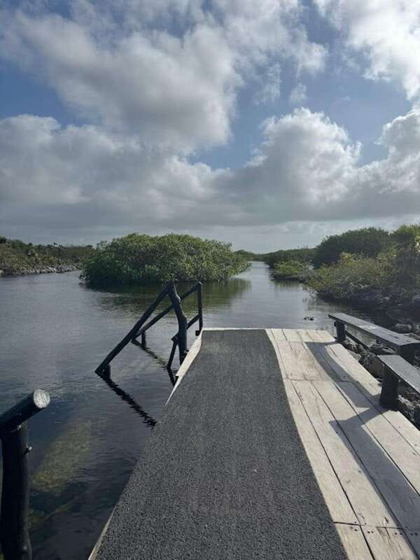 Yalku :Akumal snorkeling Muuch Kay Ecopark - Specifics of the Snorkeling Experience at Yalku Lagoon