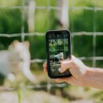 Yamnuska Wolfdog Sanctuary Walk Ticket in Canada - The Wolfdog Wisdom Sessions and Animal Interaction