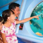 Yellow Semi-Submarine Tour of Catalina Island From Avalon - The Unique Semi-Submarine SS Nautilus in Avalon