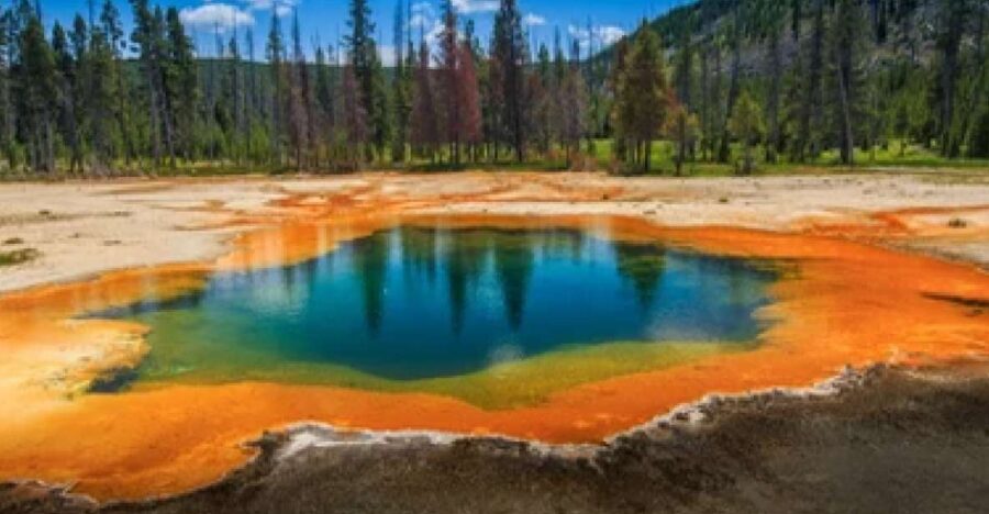 Yellowstone & Grand Tetons: 4-Day/3-Night Wildlife Adventure - The Tour Begins with a Dusk Wildlife Safari in Grand Teton