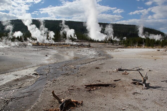 Yellowstone Lower Loop VIP Full-Day Private Tour with Lunch - Set out on a Journey Through Norris Geyser Basin and Firehole Canyon Drive