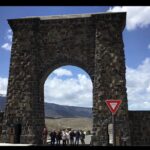 Yellowstone Wildlife and Photo Tours Upper Loop Tour From Cody - The Experience of Yellowstones Wildlife Viewing