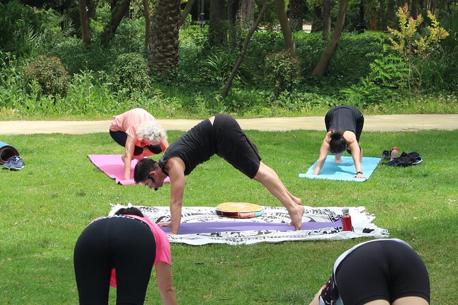 Yoga at María Luisa Park in Seville - What to Expect During the Class