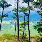 Yonah Mountain Hike Private Tour in Georgia - The Yonah Mountain Hiking Trail Experience