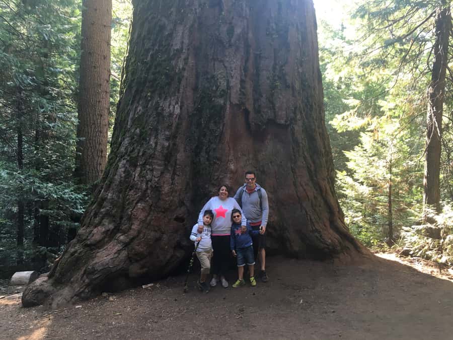Yosemite: Giant Sequoia Private 4X4 Jeep Tour - Yosemite’s 4X4 Jeep Experience Starts in Oakhurst