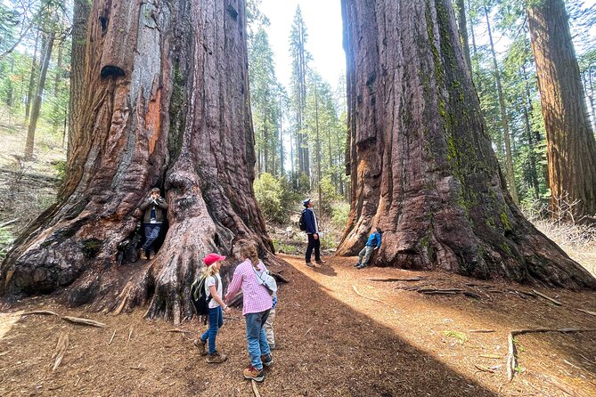 Yosemite Magic: Highlights, Sunset, and S'mores - Yosemites Most Notable Landmarks: El Capitan and Yosemite Falls