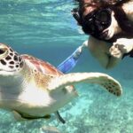 Yucatan Peninsula Full-Day Private Tour: Akumal, Tulum Ruins and Cenote Swim - Refreshing Cenote Adventures in the Riviera Maya