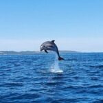 Zadar 1/2 Day Boat Tour with Skipper - Discovering Ugljans Coveted Coves