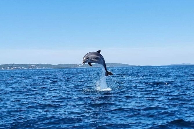 Zadar 1/2 Day Boat Tour with Skipper - Discovering Ugljans Coveted Coves