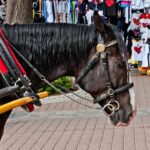Zakopane and Chocholow Thermal Baths Tour from Krakow - Riding the Gubalowka Funicular for Spectacular Views