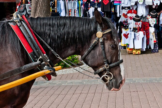 Zakopane and Chocholow Thermal Baths Tour from Krakow - Riding the Gubalowka Funicular for Spectacular Views