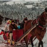 Zakopane Sleigh Ride in Tatra Mountains - Meeting Point and Departure Details