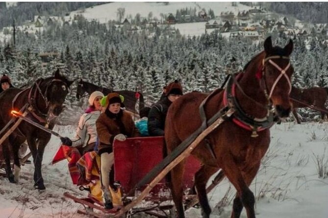 Zakopane Sleigh Ride in Tatra Mountains - Meeting Point and Departure Details