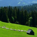 Zakopane Tour from Krakow  Highland Experience & Stunning Views - Exploring Zakopane: The Winter Capital of Poland