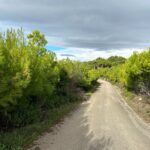 Zakynthos 4x4 Sunset Escape - Porto Roxa Beach: A Coastal Paradise with Turquoise Waters