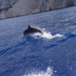 Zakynthos All Day Tour Shipwreck beach, view point-Blue Caves - Admiring the Top-View of Navagio Beach