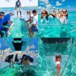 Zakynthos: Glass Boat Swimming Tour with Turtle Spotting - The Experience of the Clear Glass Boat