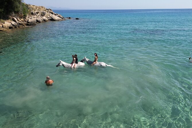 Zakytnhos Horse Riding Swimming Experience - The Ride and Swim Experience: An Unforgettable Beach Adventure