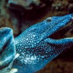 Zaragoza : Aquarium entry ticket - Walking Through Iconic River Ecosystems