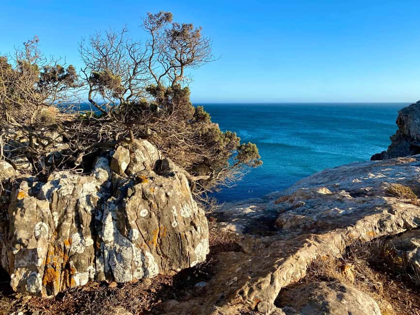 Zavial: Stretch Horizons | Coastal Hike & Yoga - Starting Point: Zavial Beach and the Coastal Trail